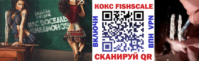 Cocaine FishScale  купить наркотики цена  Николаевск-на-Амуре 