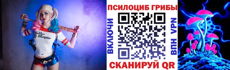 цены наркотик  Николаевск-на-Амуре  blacksprut вход  Галлюциногенные грибы Cubensis 